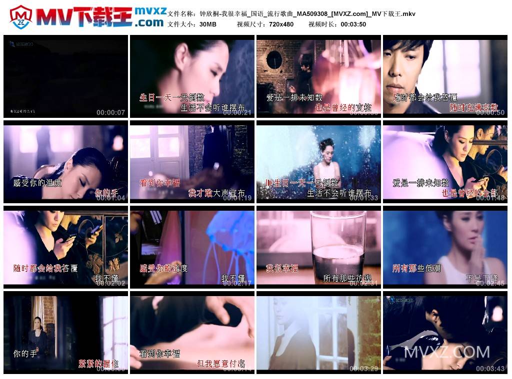 钟欣桐-我很幸福_国语_流行歌曲_MA509308